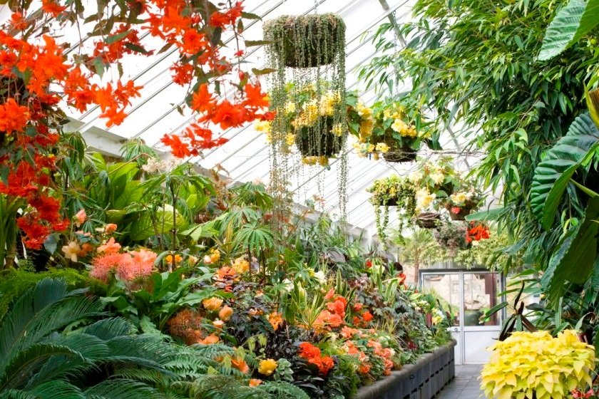 wellington-botanic-garden-new-zealand-garden-trust